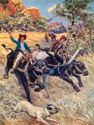 Illustration für Die Schweizer Familie Robinson